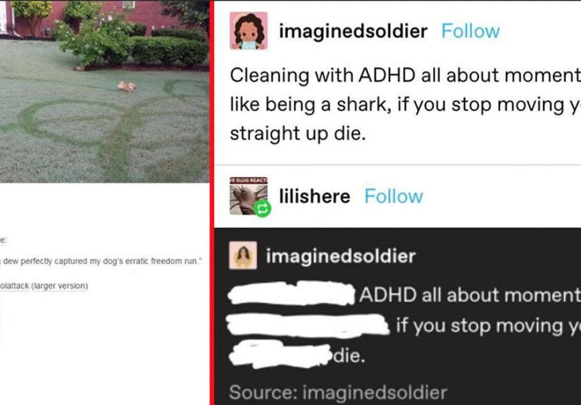 23 Random Posts We Saw On Tumblr This Week That Left Us Delighted And Confused