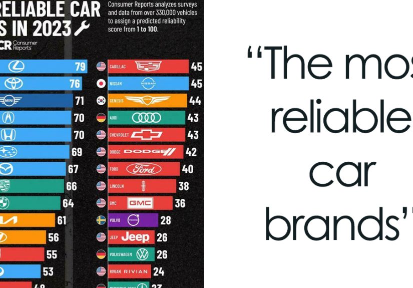 50 Fun And Informative Charts About The World You Might Want To See