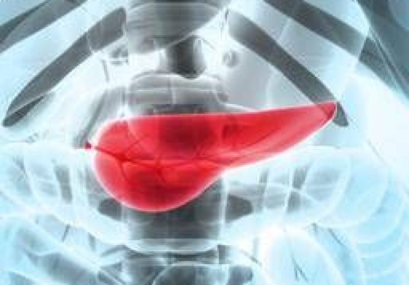 Can You Live Without a Pancreas? What You Need to Know