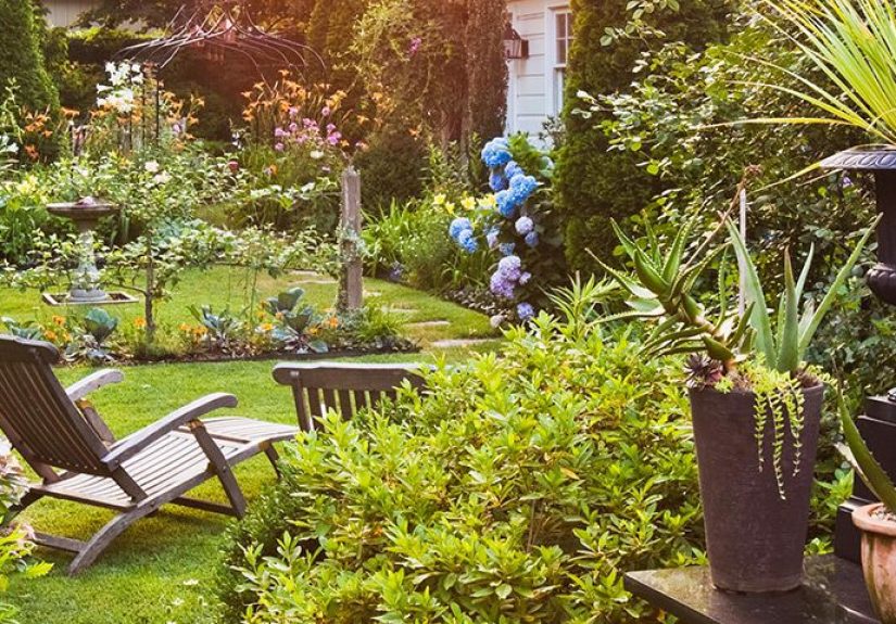 Caring for Your Yard