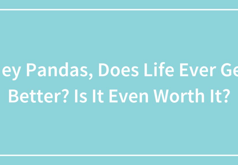 Hey Pandas, Does Life Ever Get Better? Is It Even Worth It?