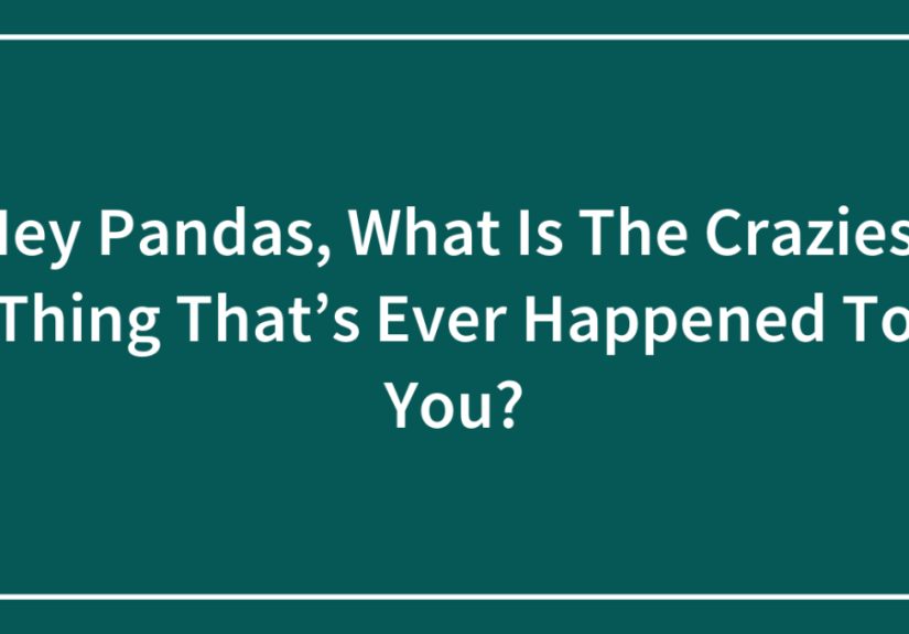 Hey Pandas, What Is The Craziest Thing That’s Ever Happened To You?