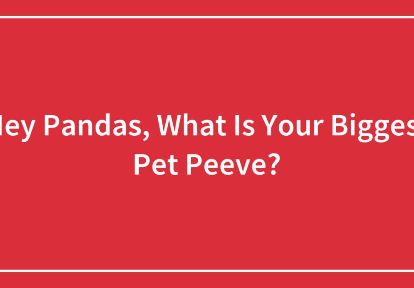 Hey Pandas, What Is Your Biggest Pet Peeve?