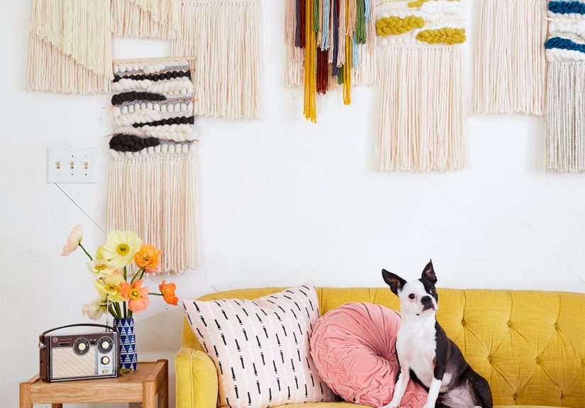 How to Remove Pet Hair from a Couch