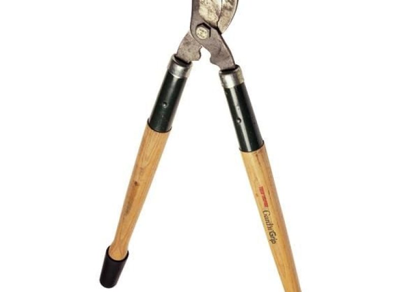 How To Sharpen Shears, Hedge Trimmers and Other Garden Tools