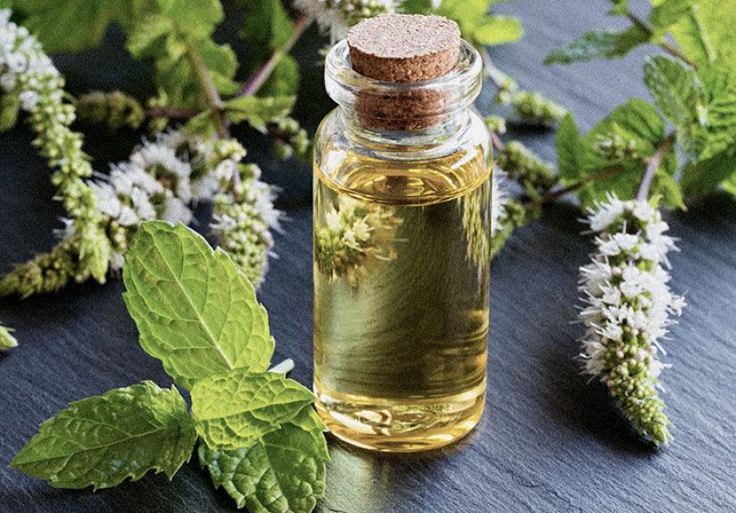 Peppermint oil benefits: Properties and uses