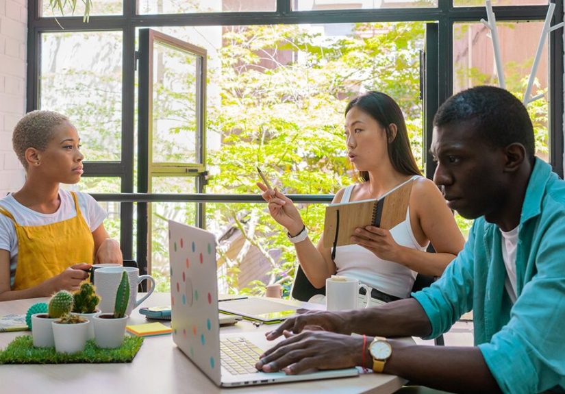 Sidecar Health Access Plan: A Review