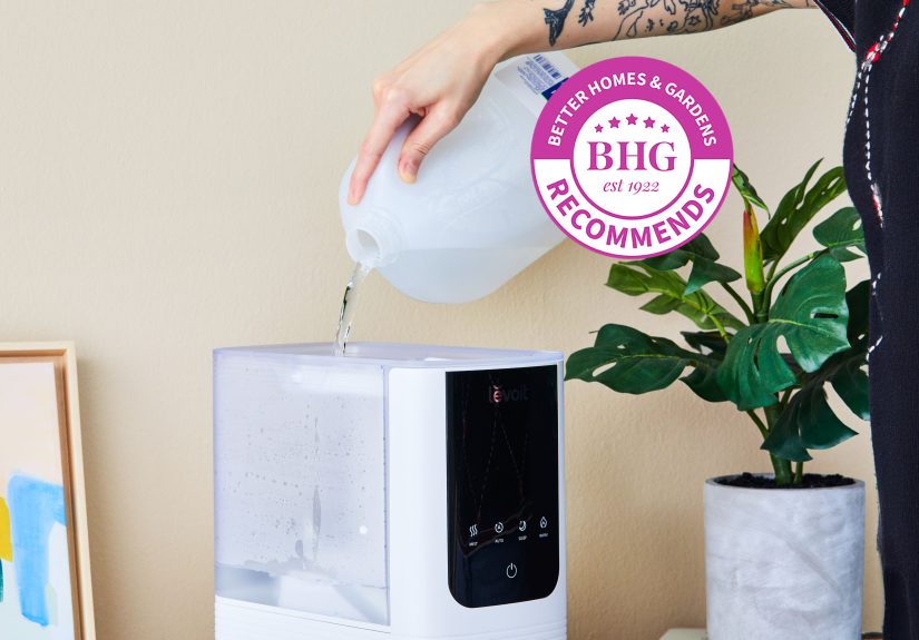 The 5 Best Humidifiers, Tested by BHG