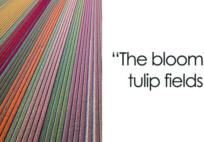 These 49 Photographers Show What Spring Looks Like Around The World