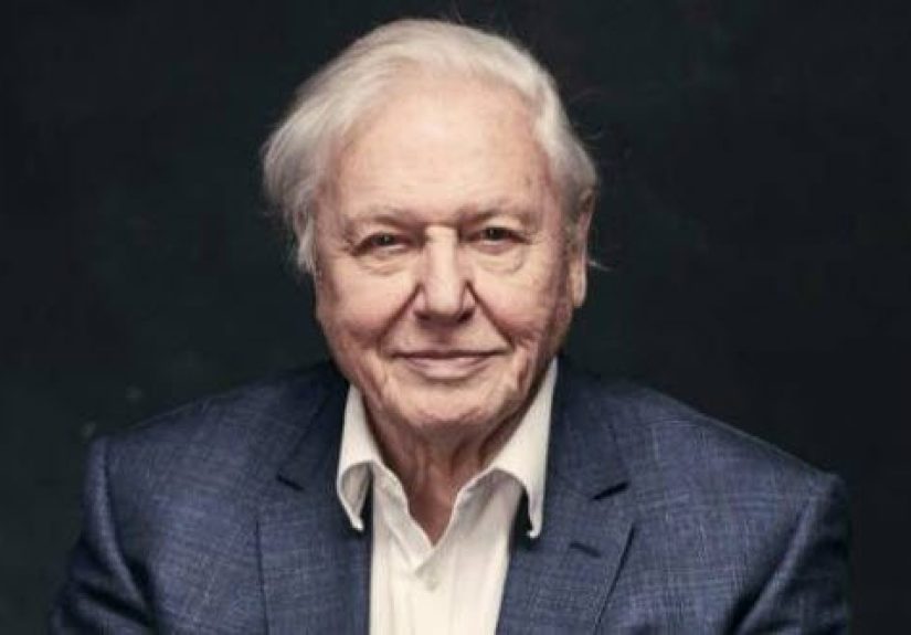 Top 10 Memorable Attenborough Moments - 2020
