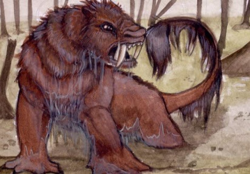 10 Unconfirmed Mysterious Australian Animals