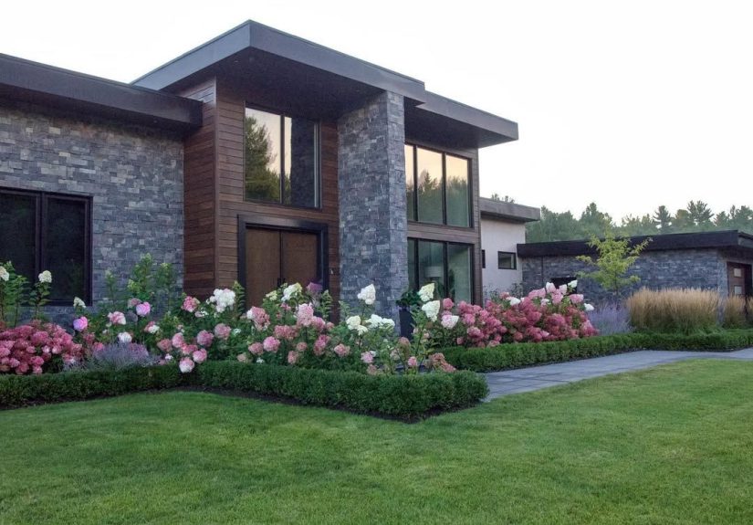 11 Hydrangea Landscaping Ideas You Should Try This Year
