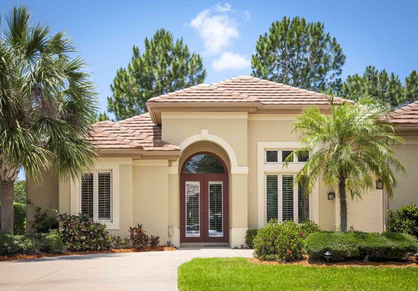 21 Types of Palm Tree Varieties You Need to Grow