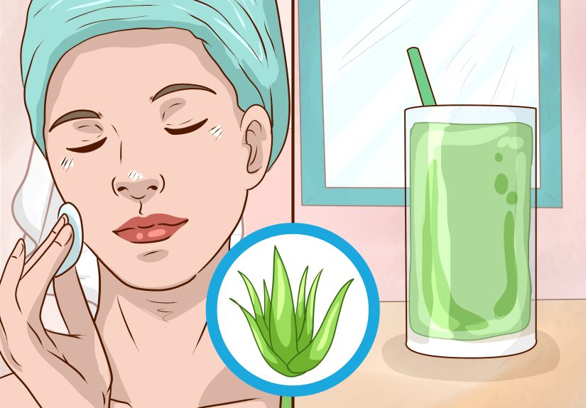 3 Ways to Store Aloe Leaves