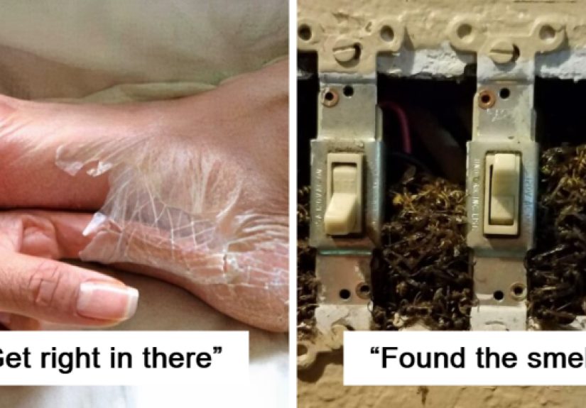50 Times People Came Across Something ‘Mildly Disgusting’ And Had To Share In This Group