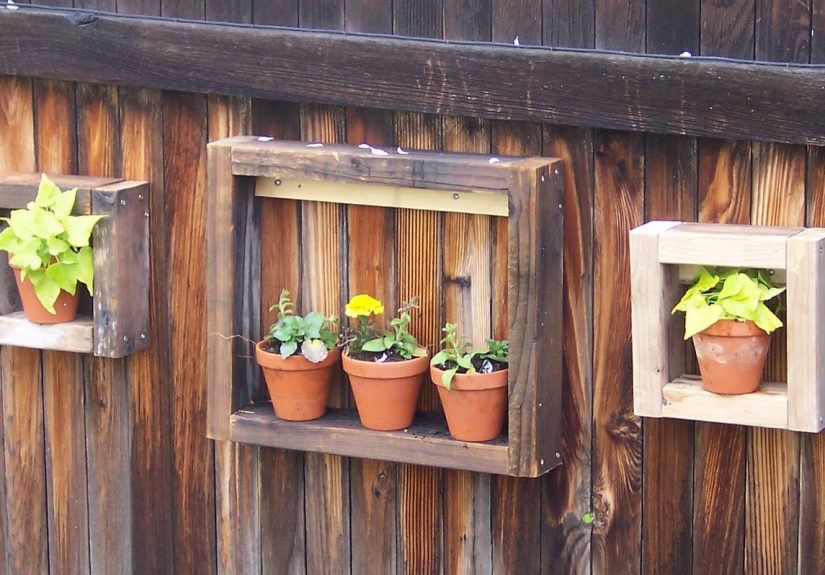 Boxer; Garden Display Box