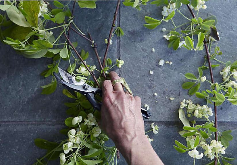 Cast Your Vote: Gardenista Has Been Nominated for a Webby Award