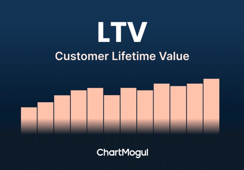 Customer Lifetime Value (LTV)