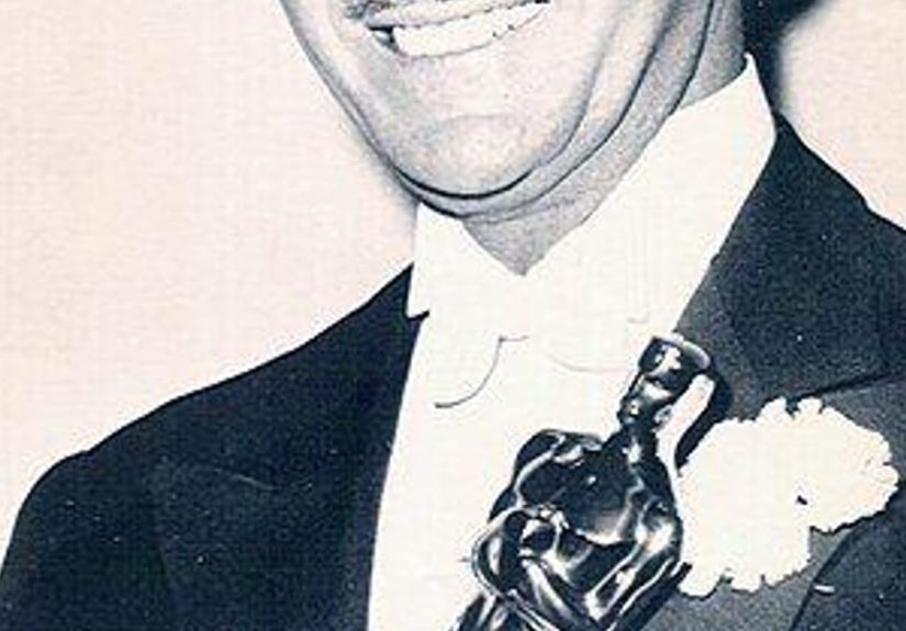 David Niven Rankings And Opinions