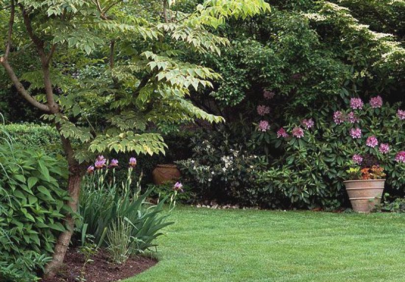 Easy Lawn Repair for Patchy Grass Using Seed or Sod