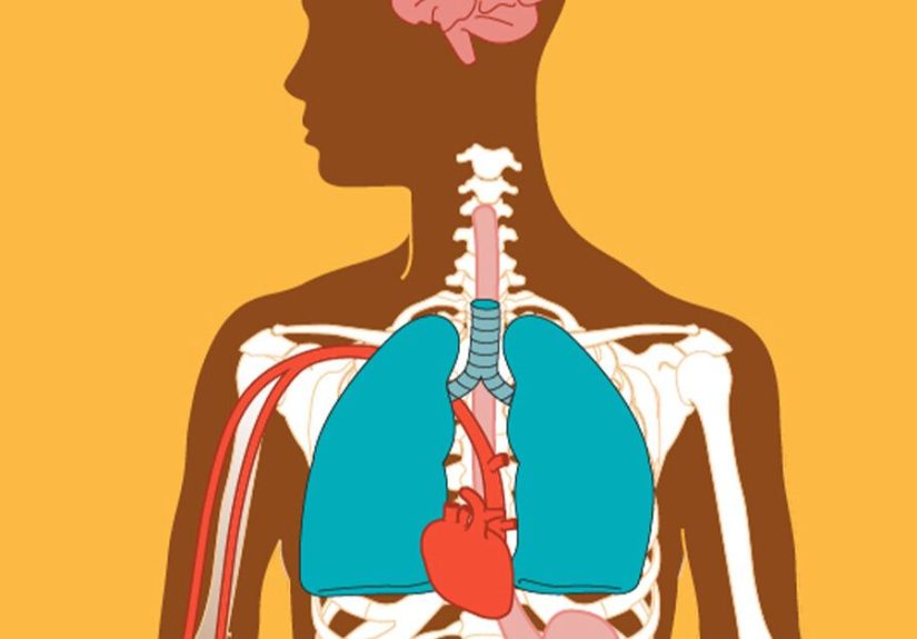 Effects of Alcohol on the Body