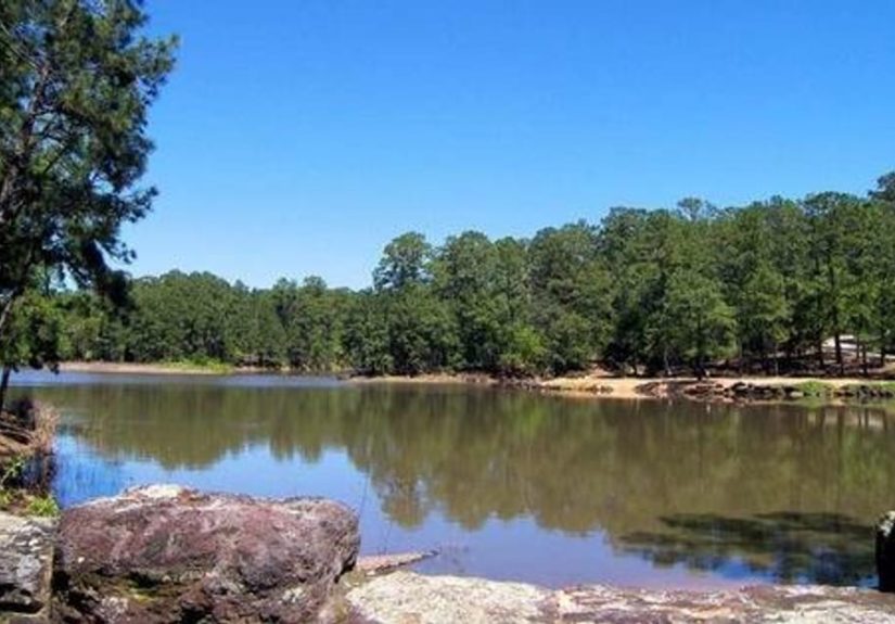 Guitarists from Texas