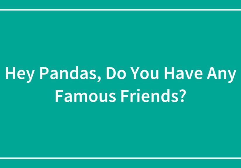 Hey Pandas, Do You Have Any Famous Friends?