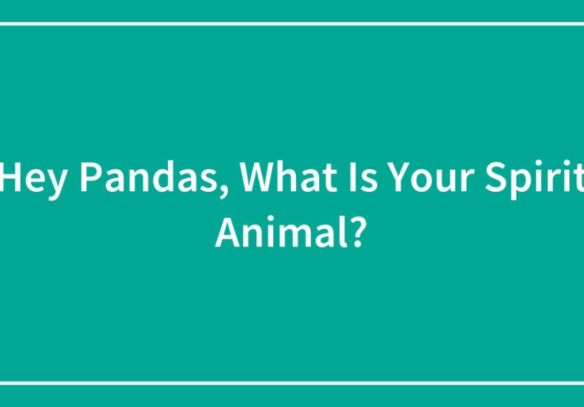 Hey Pandas, What Is Your Spirit Animal? (Closed)