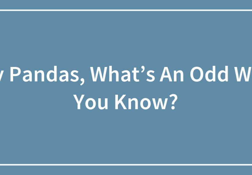 Hey Pandas, What’s An Odd Word You Know?