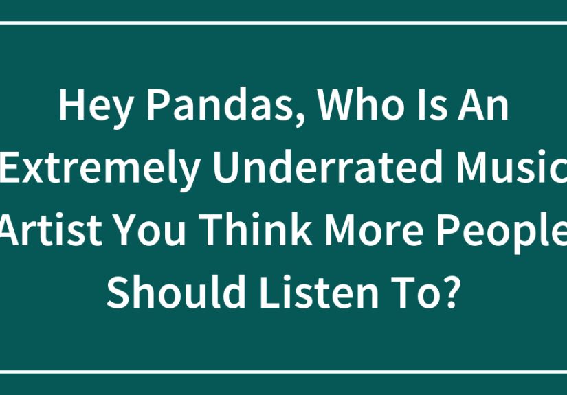 Hey Pandas, Who Is An Extremely Underrated Music Artist You Think More People Should Listen To? (Closed)