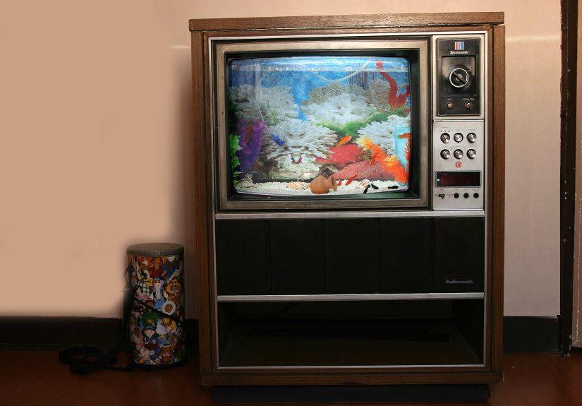 How to Convert an Old TV Into a Fish Tank: An Easy Guide