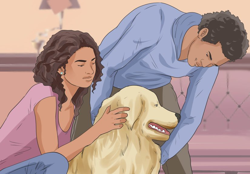 How to Get Your Dog to Be Nice to Strangers: 13 Steps