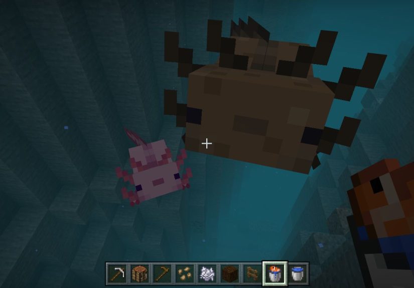 How to Tame Axolotls in Minecraft