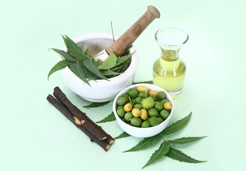 How to Use Neem Oil on Plants to Control Pests