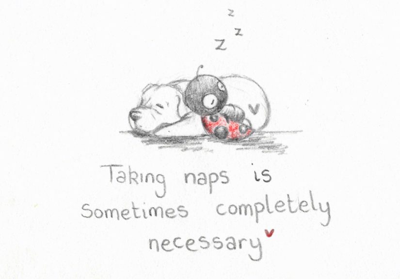 I Made 25 Drawings Of A Ladybug And A Dog And They Share Motivational Quotes About Life