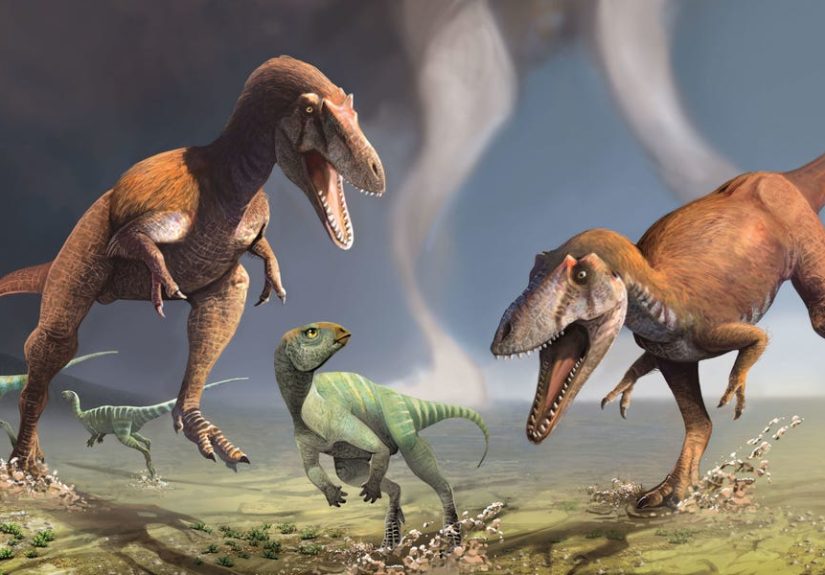Newfound Dinosaur Had Tiny Arms Like T. Rex
