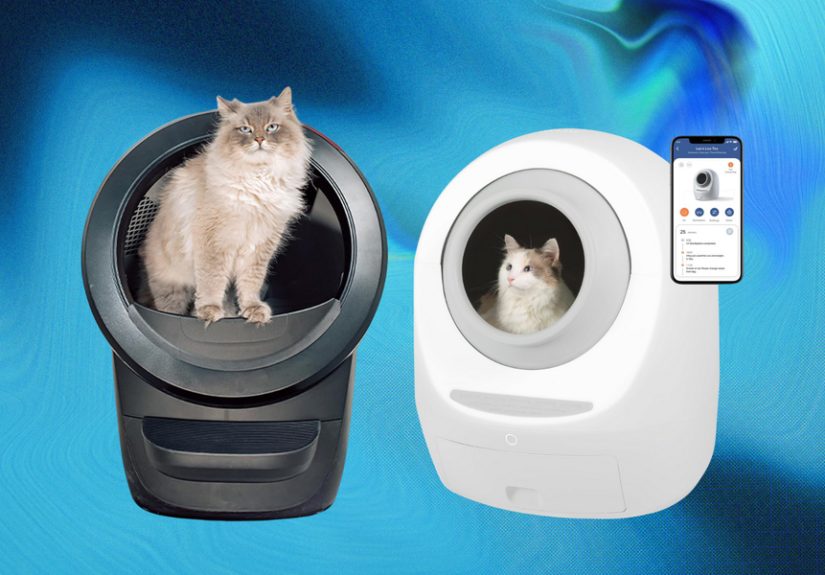 The Best Self-Cleaning Litter Boxes