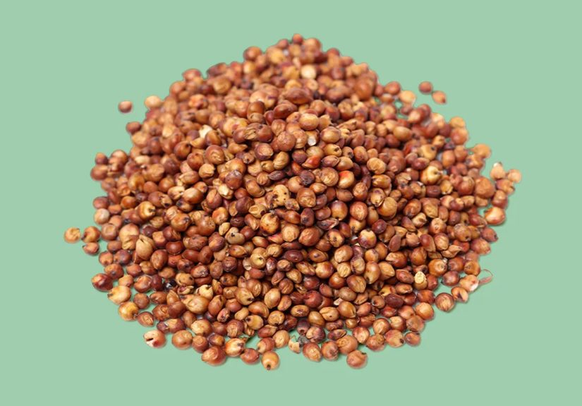 Top Nutritional Benefits of Guinea Corn, aka “Sorghum”