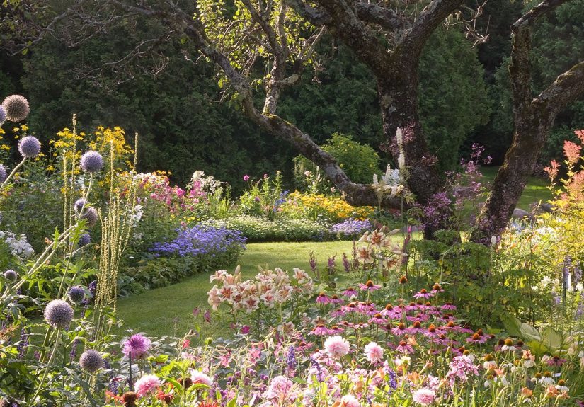 Your Seasonal Lawn-Care Schedule for the Northeast