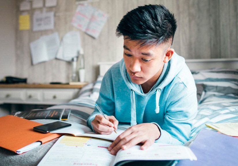 Zone of Proximal Development Relation to Children's Education