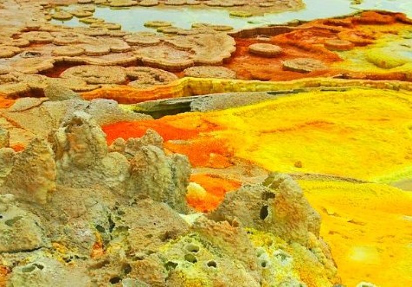 10 Amazing Places Life Has Been Found