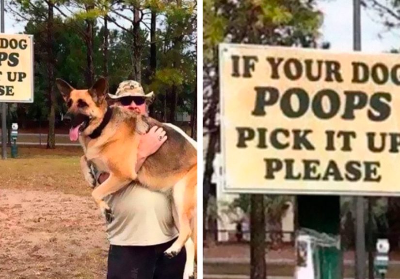 40 Truthful Memes About What It’s Like To Have A Dog