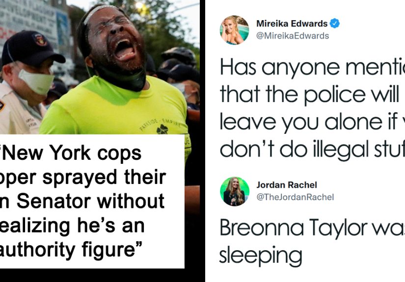 50 Pictures From The Online “Gallery Of Inexplicable Stupidity”