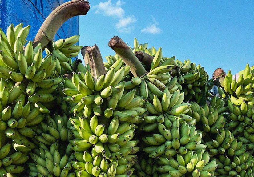 AFib: Potassium supplements may lower risk after heart surgery