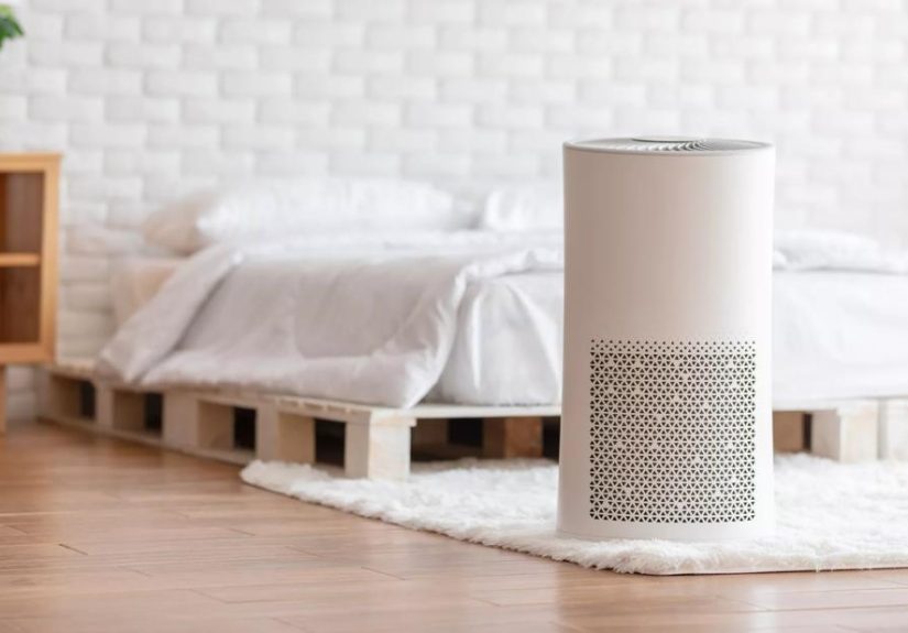 Can Air Purifiers Improve Your Lung and Heart Health?