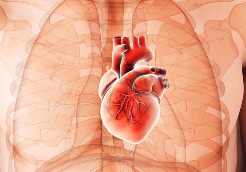 Cardiomegaly: Diagnosis, Treatment, and Prevention