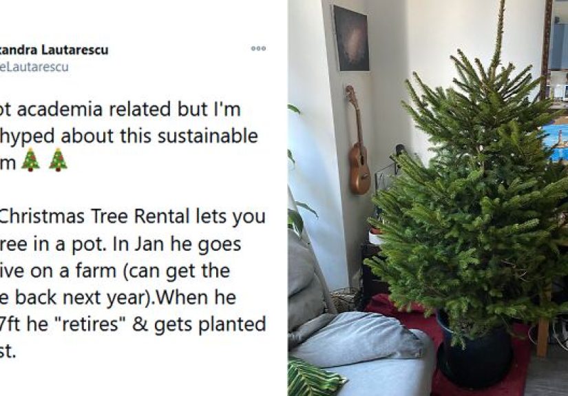 Christmas Tree Rental Solves The Real VS. Artificial Tree Debate