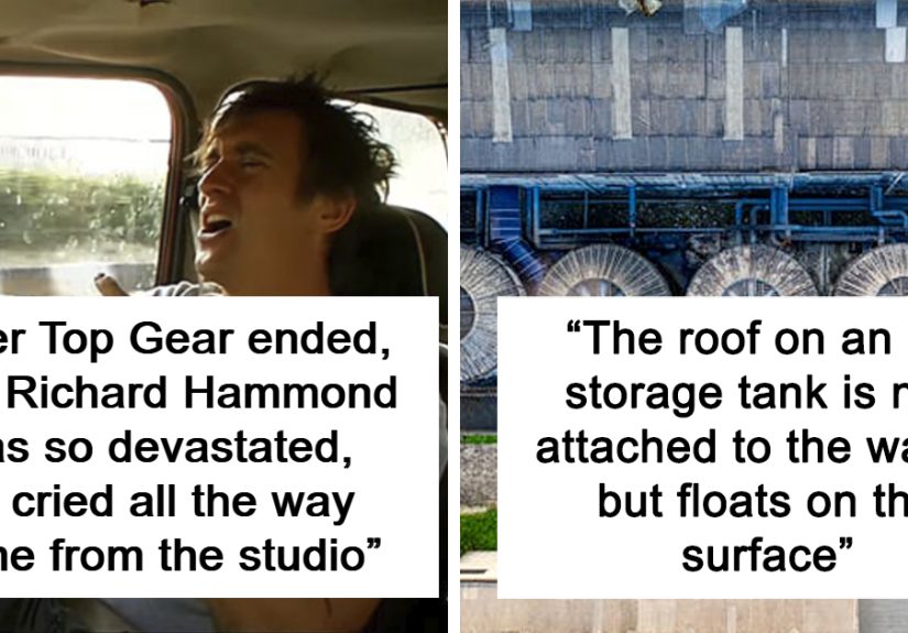 “College Graduates Who Joined Fraternities Have Higher Incomes”: 42 New Facts From The ‘Today I Learned’ Community That Are A Perfect Brain Exercise