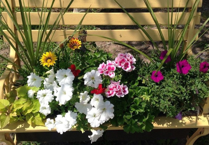 Garden Bench to Planter