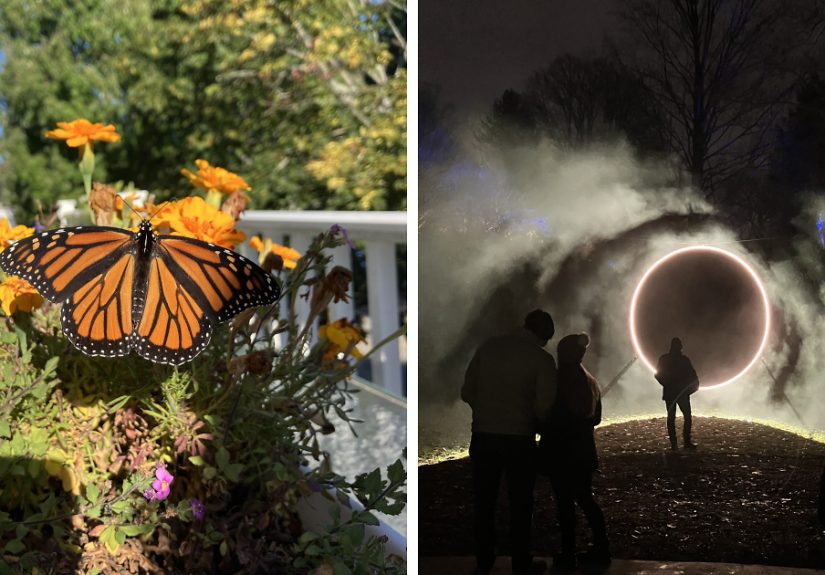 Here Are My Favorite Pictures From My Camera Roll (14 Pics)